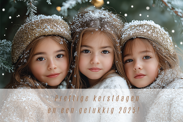 kerst -en nieuwjaarskaartjes